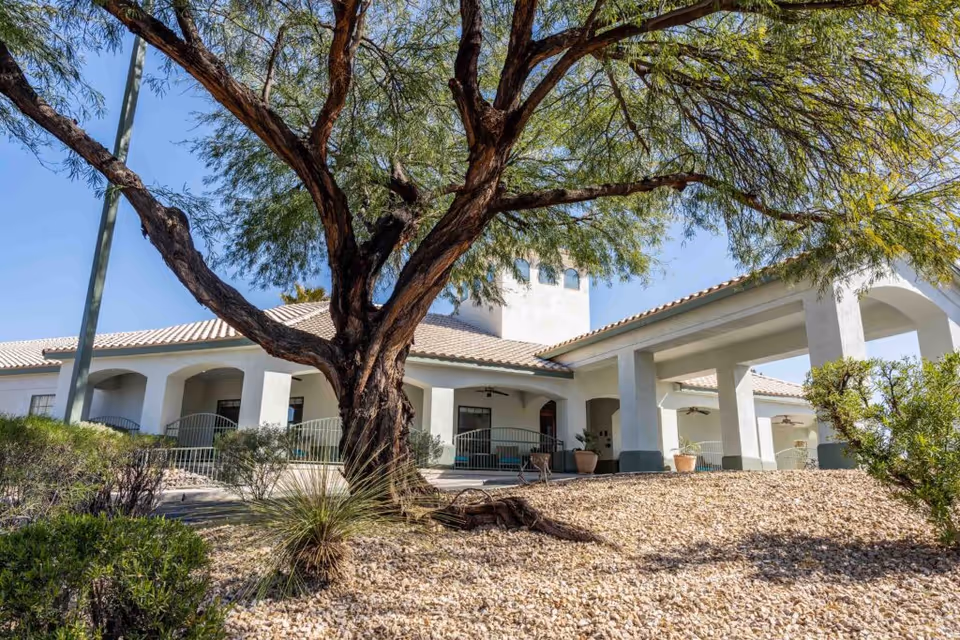 Exterior view of a single-story building with white walls and a tiled roof, surrounded by desert landscaping including a large tree and various shrubs under a clear blue sky.