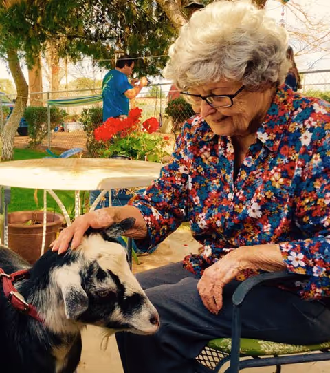 An elderly woman with gray hair and glasses, wearing a colorful floral shirt, is sitting outdoors and gently petting a small black and white goat. There are red flowers on a table behind her and a man in a blue shirt in the background near a fence and trees.