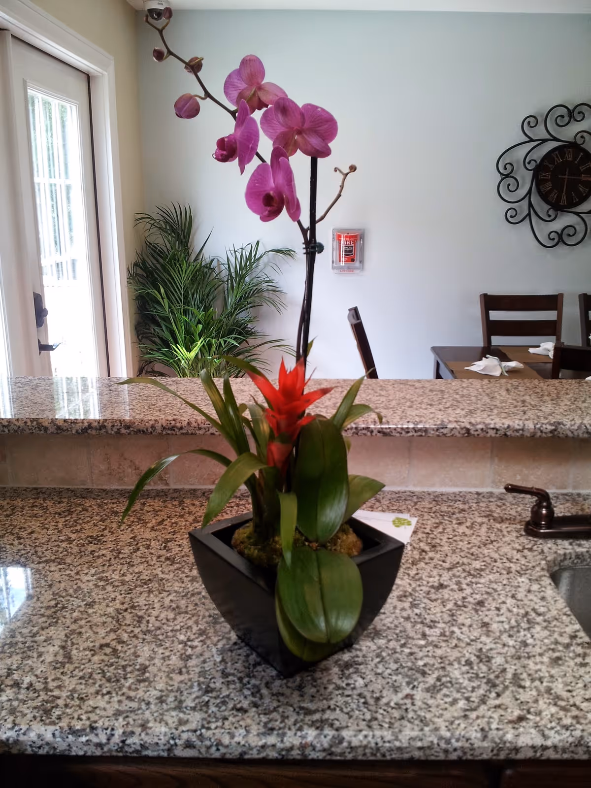 A close-up of a granite countertop with a black square pot containing a purple orchid and a red bromeliad plant. In the background, there is a dining area with wooden chairs and a decorative wall clock, a green potted plant near a glass door, and a fire alarm on the wall.