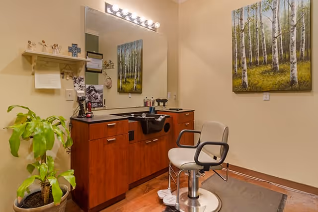Interior view of a hair styling area featuring a salon chair, mirror, and wooden cabinetry, with a painting of trees on the wall.