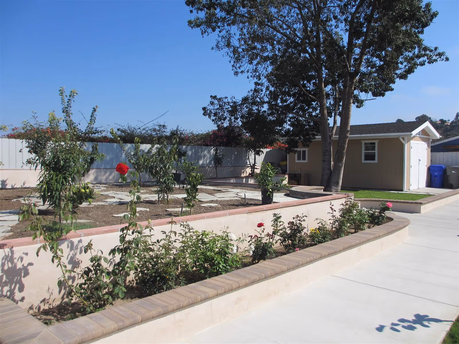 Outdoor garden area with a raised flower bed containing various plants and flowers, a large tree, a small shed, and a clear blue sky in the background.