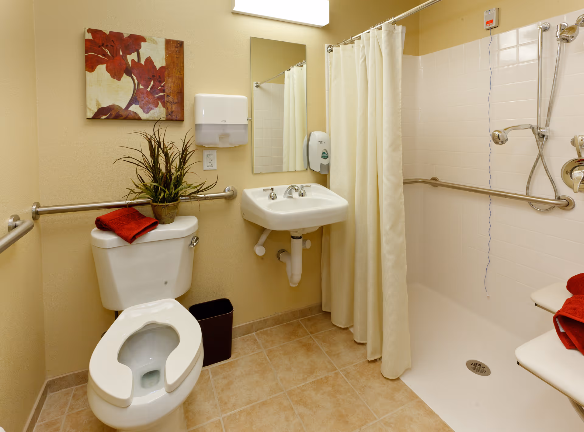 Accessible bathroom with a toilet, wall-mounted sink, grab bars, and a roll-in shower with a curtain.