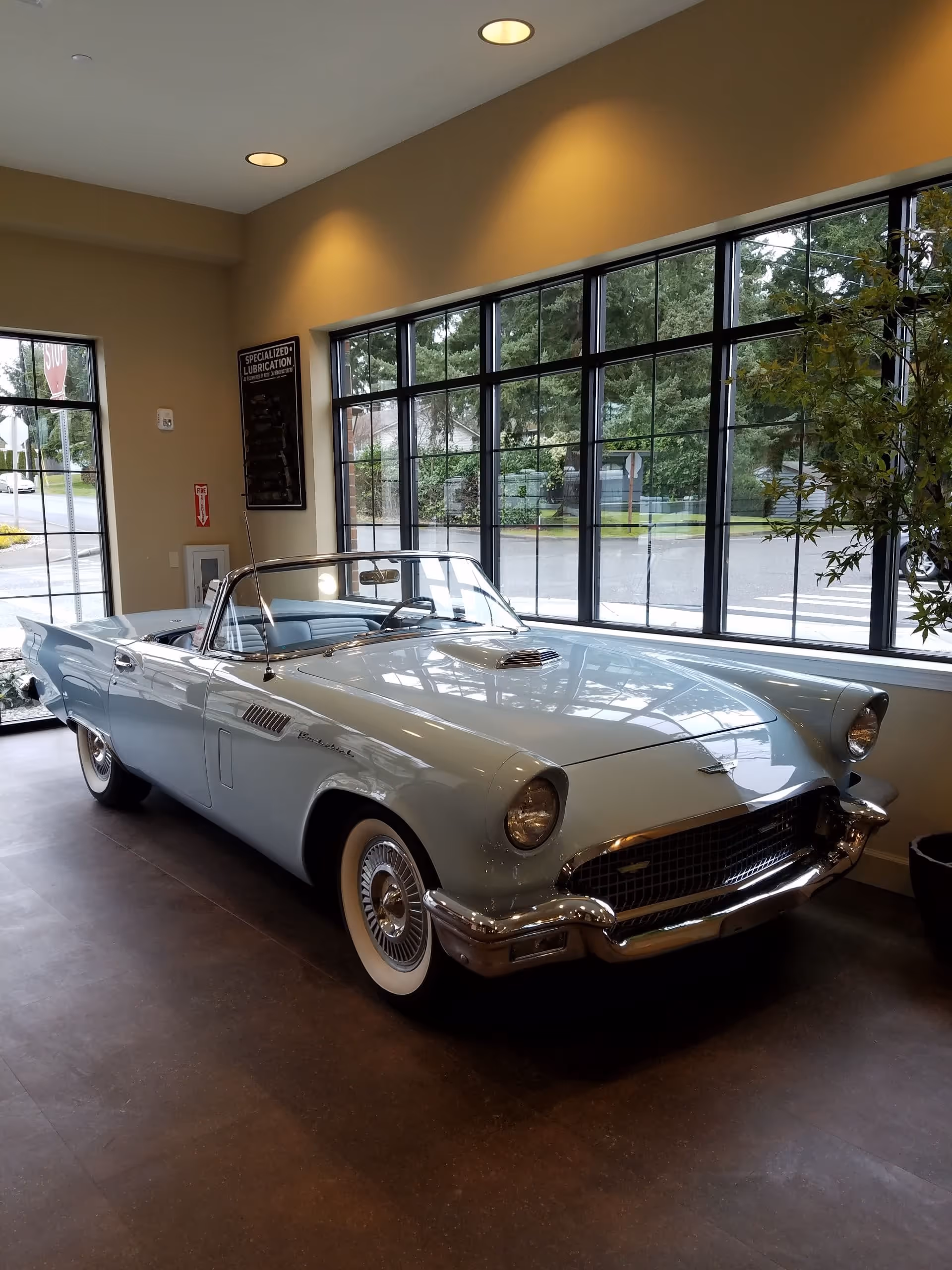 A vintage light blue convertible car displayed indoors near large windows with a view of trees and a street outside. The room has beige walls, recessed ceiling lights, and a potted plant on the right side.