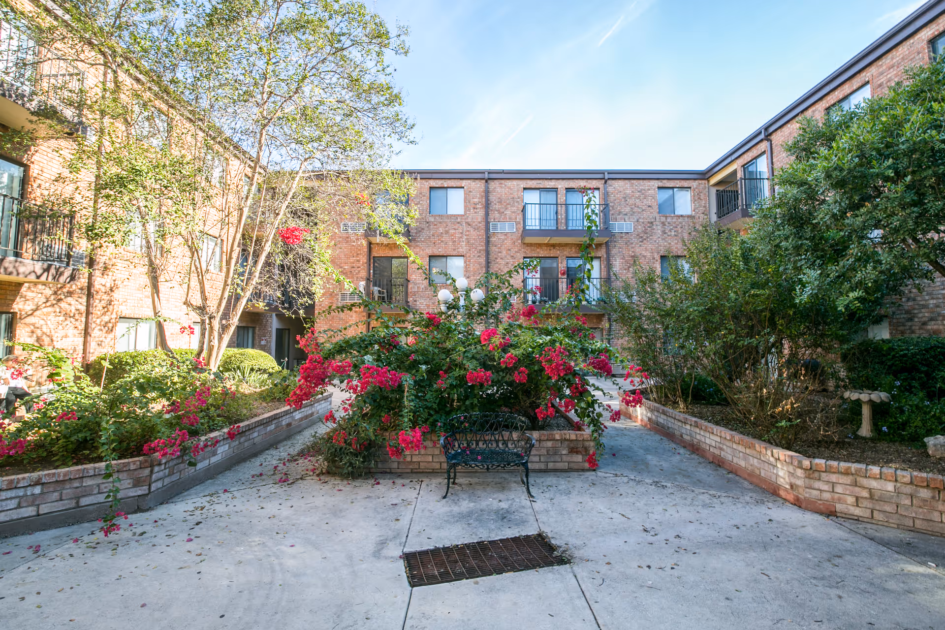 Outdoor courtyard area of a senior living facility with brick buildings surrounding a garden filled with green bushes and vibrant pink flowers. There is a black metal bench in front of the garden and a concrete pathway leading through the courtyard. The sky is clear and blue.
