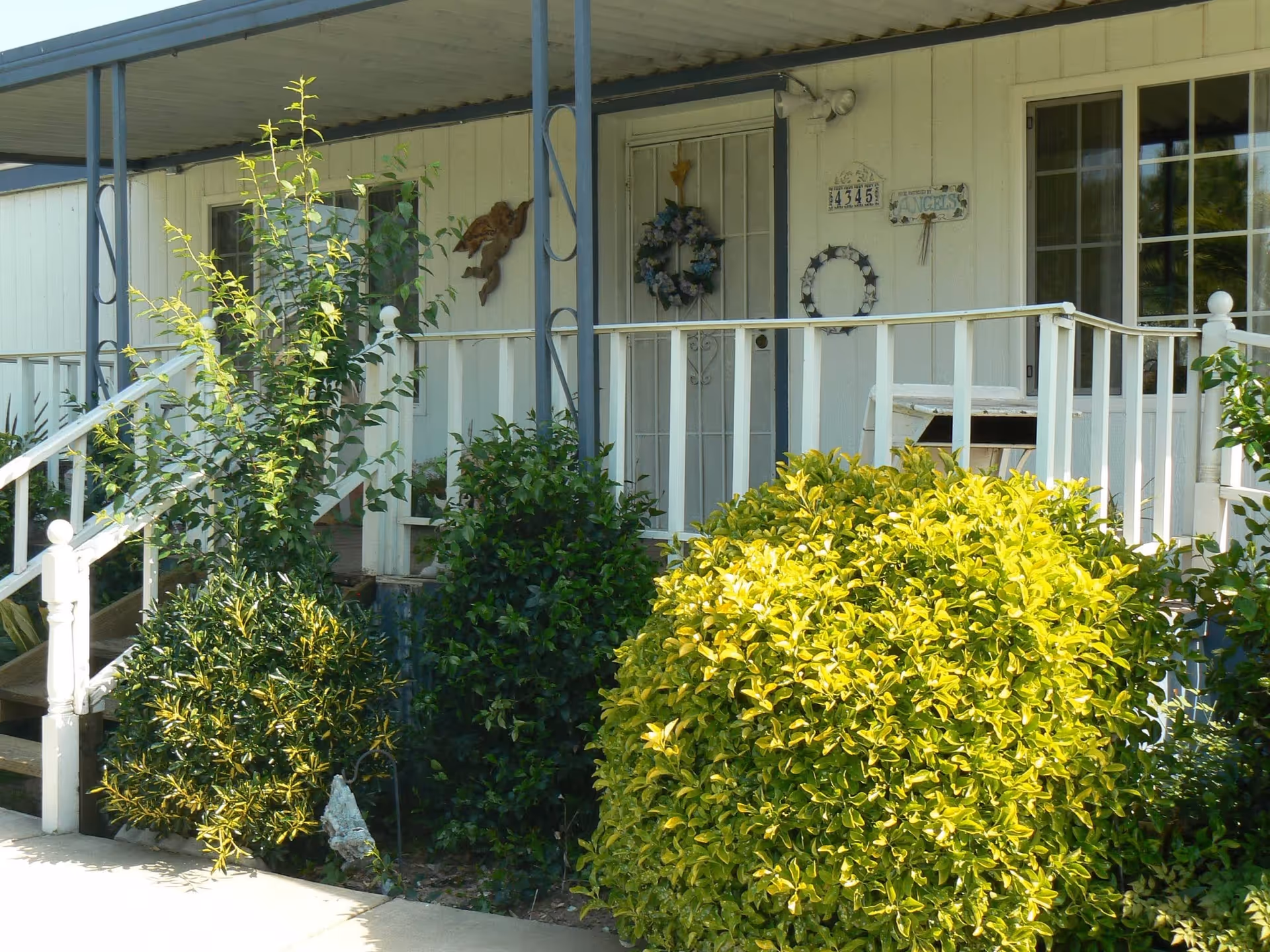 Front porch of a single-story home with white railing and steps leading up to the entrance. The porch is decorated with wreaths on the door and wall, and there are several green and yellow bushes and plants in front of the porch.
