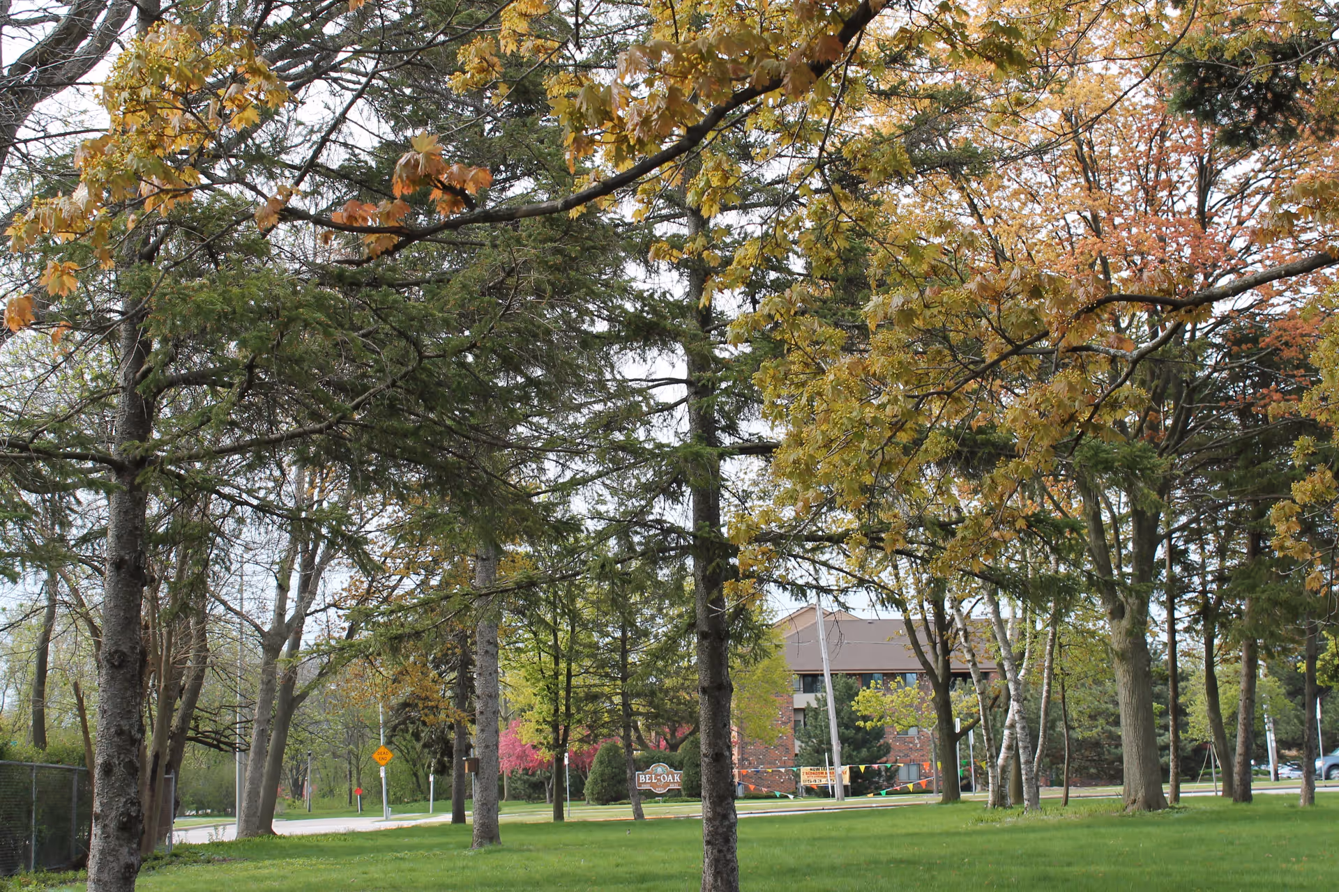 A grassy outdoor area with several trees showing early autumn colors. In the background, there is a brick building partially visible behind the trees, along with a sign that reads 'BEL-OAK'. The sky is overcast, and there is a road with a 'Dead End' sign visible to the left.