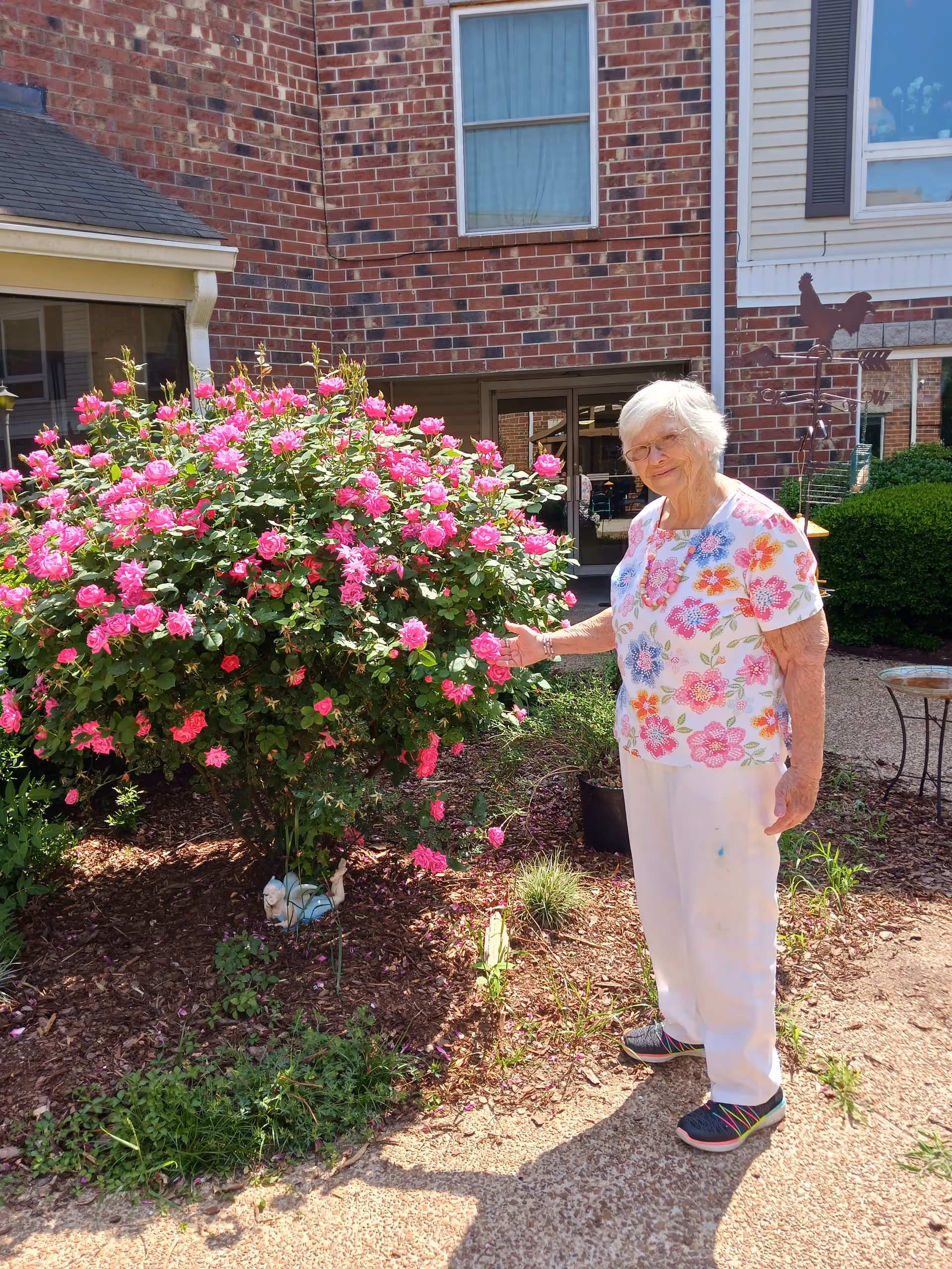 An elderly woman wearing a white floral shirt and white pants stands outside next to a large bush with vibrant pink flowers. She is smiling and gently touching the flowers. The background shows a brick building with windows and a glass door.