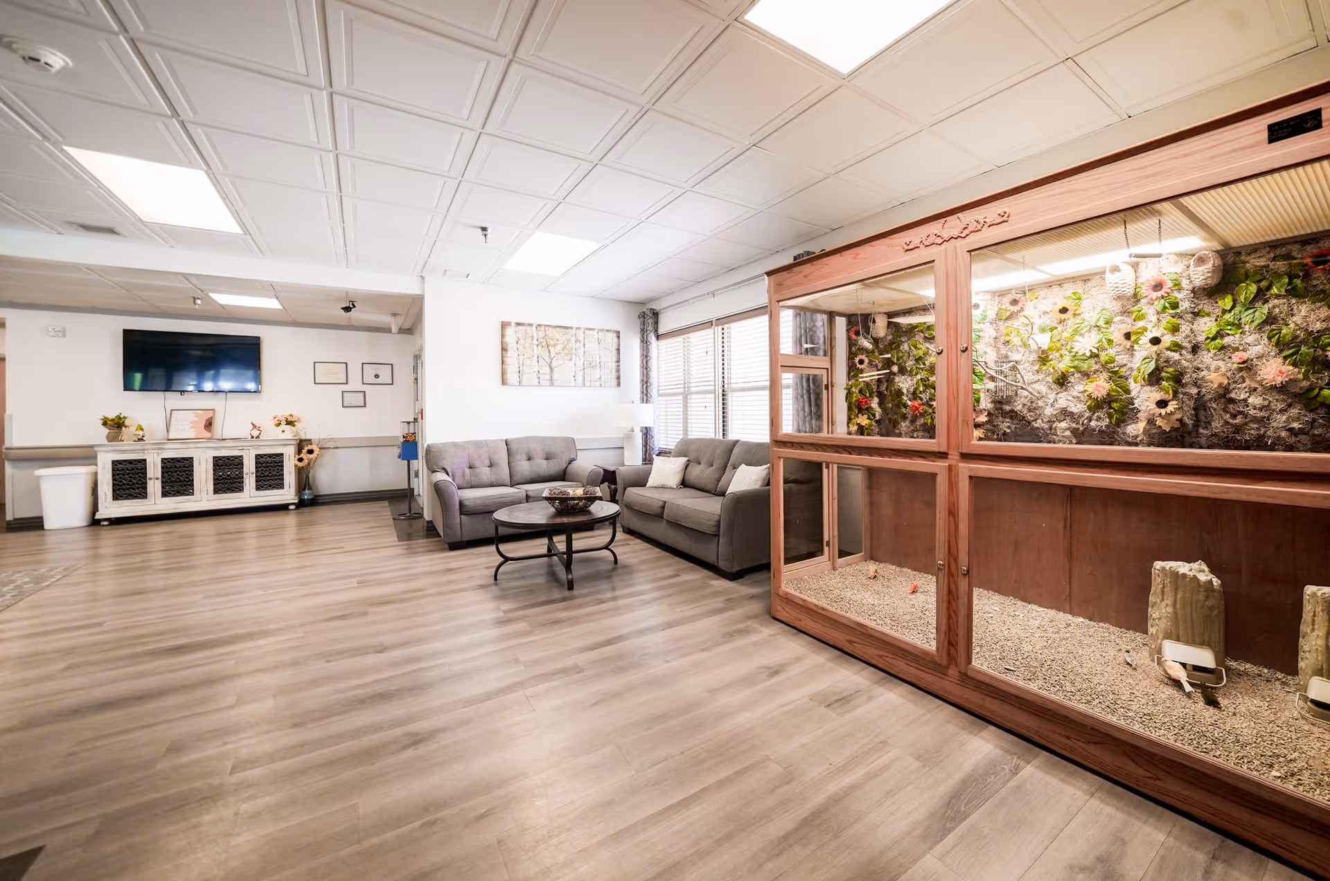 Bright common lounge with sofas, a coffee table, TV console and a large built-in terrarium along the right wall.