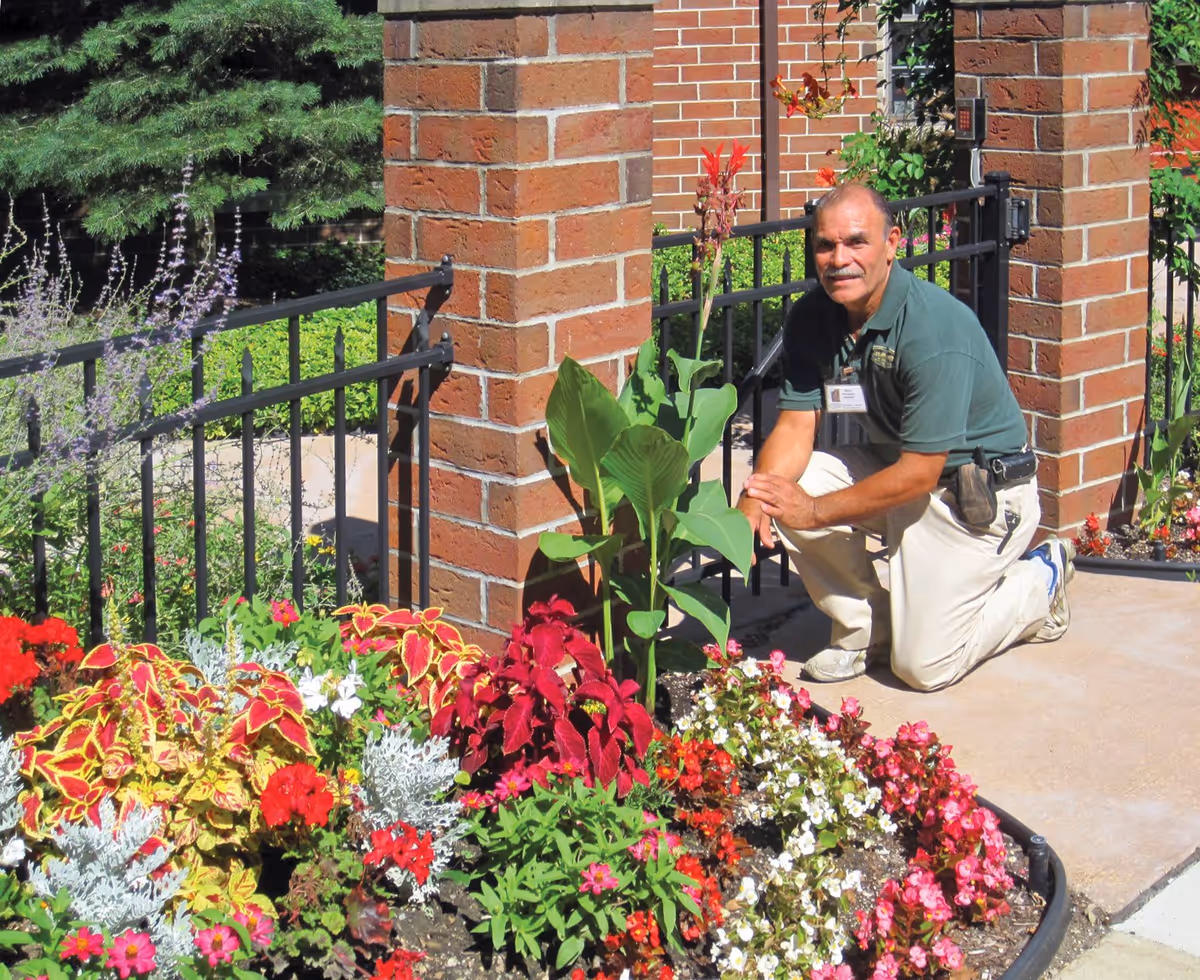 A man kneeling beside a colorful flower bed with various red, pink, white, and green plants. He is wearing a green polo shirt and beige pants, and is positioned next to a brick pillar and black metal fence in an outdoor garden area.