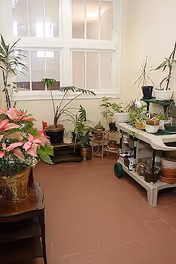 Small interior room with multiple potted plants arranged on the floor and a rolling cart beneath large interior windows.