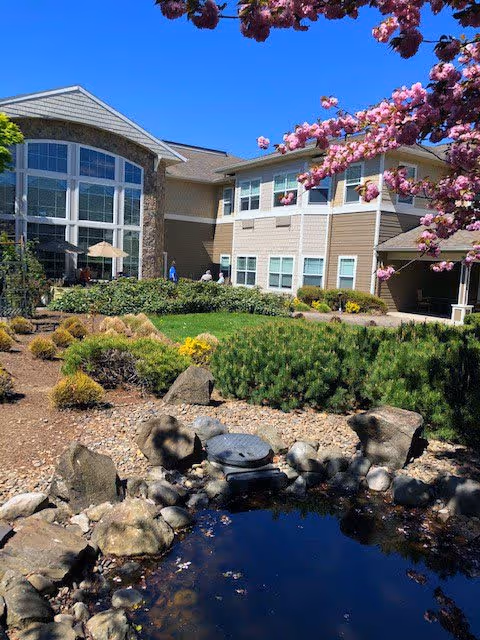 Outdoor garden area of Meadowlark Senior Living facility featuring a small pond surrounded by rocks and greenery, blooming pink flowers on a tree branch in the foreground, and a two-story building with large windows and patio umbrellas in the background under a clear blue sky.