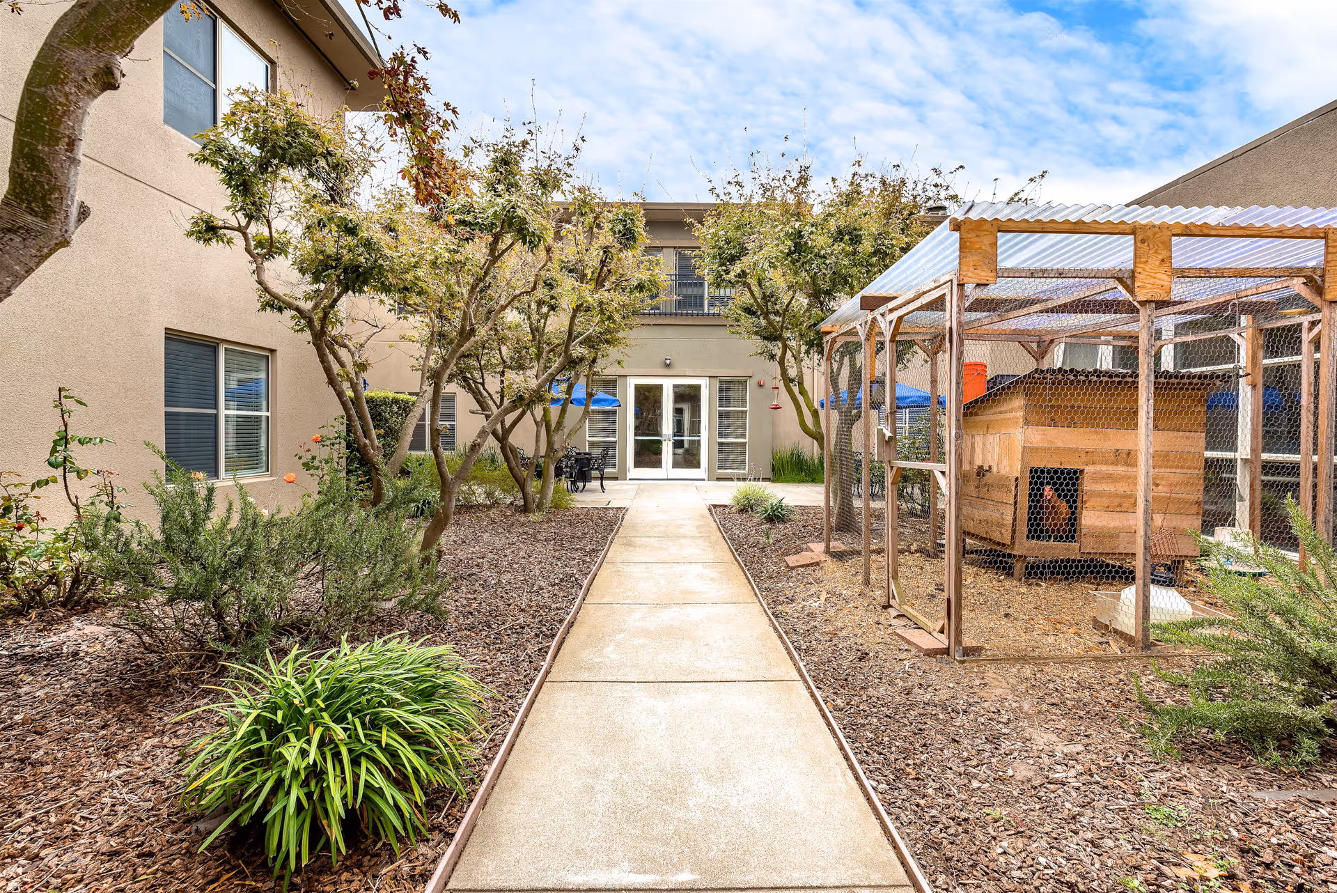 Outdoor courtyard area at Mission Villa Senior Living featuring a concrete walkway lined with plants and small trees. On the right side, there is a wooden chicken coop with a chicken inside. The building surrounds the courtyard with windows and a glass door entrance visible at the far end under a partly cloudy sky.