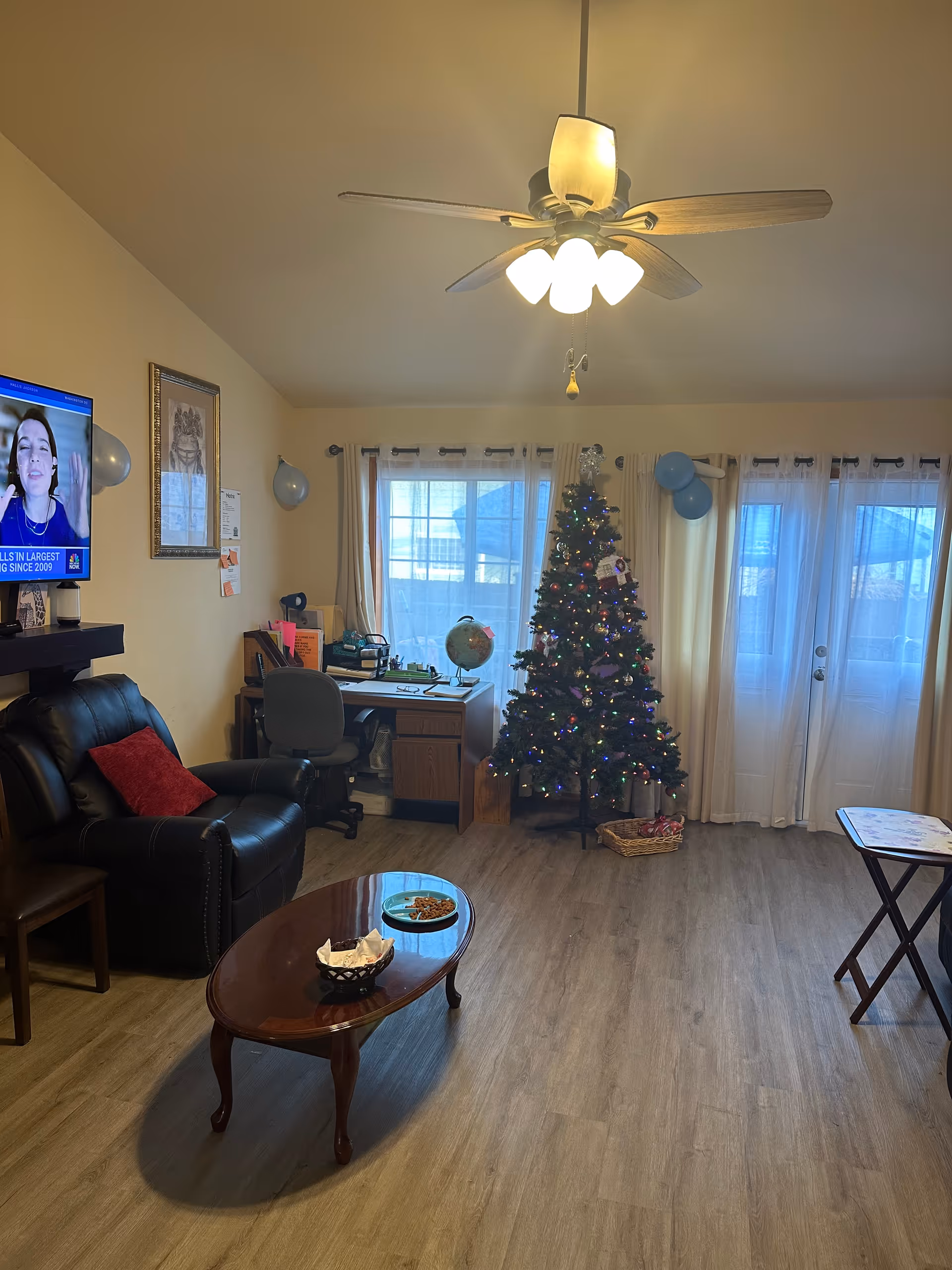 A cozy living room with a decorated Christmas tree by sheer-curtained windows, a leather armchair, coffee table, desk and ceiling fan.
