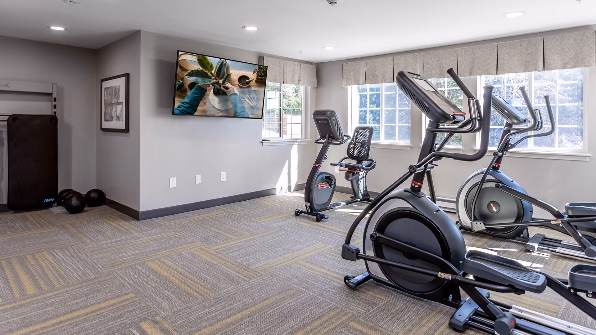 A bright exercise room with large windows letting in natural light. The room contains several pieces of cardio equipment including stationary bikes and elliptical machines. A television mounted on the wall displays a close-up of hands tending to a plant. The floor is carpeted with a patterned design, and there are exercise balls and a mat in the corner.