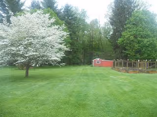 A large grassy yard with a blooming white-flowered tree on the left, a red shed in the distance, and a fenced garden area to the right, surrounded by tall green trees.