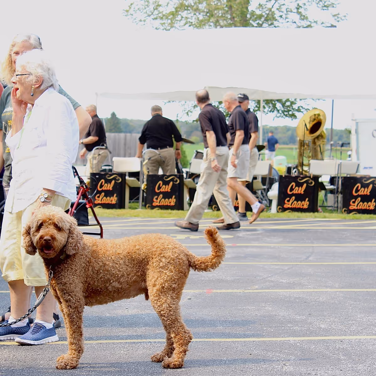 A curly-haired brown dog on a leash stands in the foreground on a paved surface. Behind the dog, an elderly woman with white hair and glasses is talking on a phone. In the background, several men dressed in black shirts and light-colored shorts are walking or standing near a white tent with musical instruments and signs that read 'Carl Laack'.