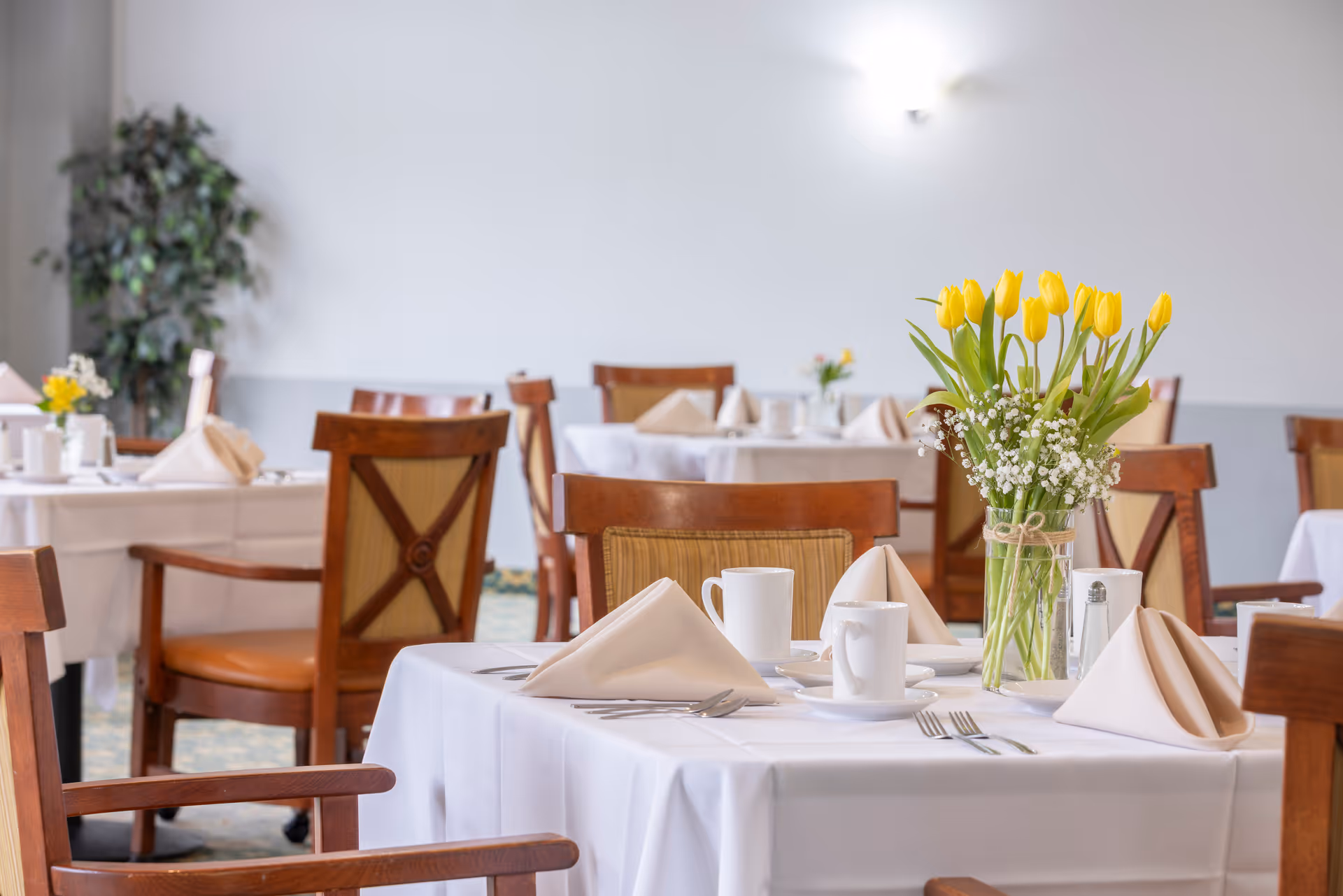 Bright dining room with tables set with white tablecloths, folded napkins, mugs, and a vase of yellow tulips.