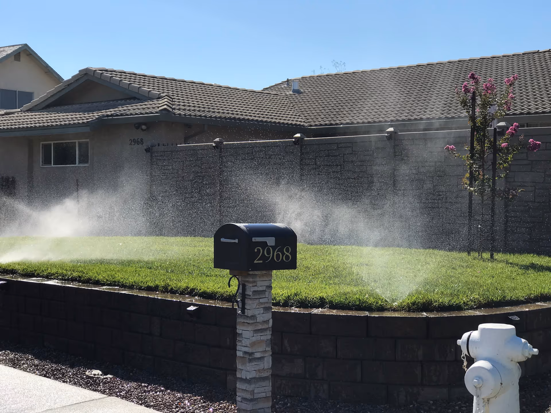 Front yard of a house with a mailbox numbered 2968, sprinklers spraying water across the lawn and a fire hydrant in the foreground.