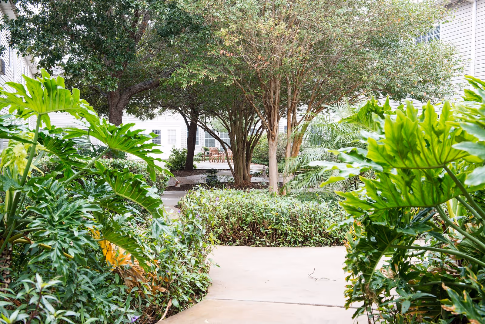 A lush outdoor garden area with a concrete pathway surrounded by various green plants and trees, leading to a seating area with chairs and tables near a white building.