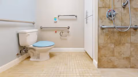 Accessible bathroom with a white toilet featuring a blue seat, grab bars on the walls, and a tiled walk-in shower with a handheld showerhead and grab bars.