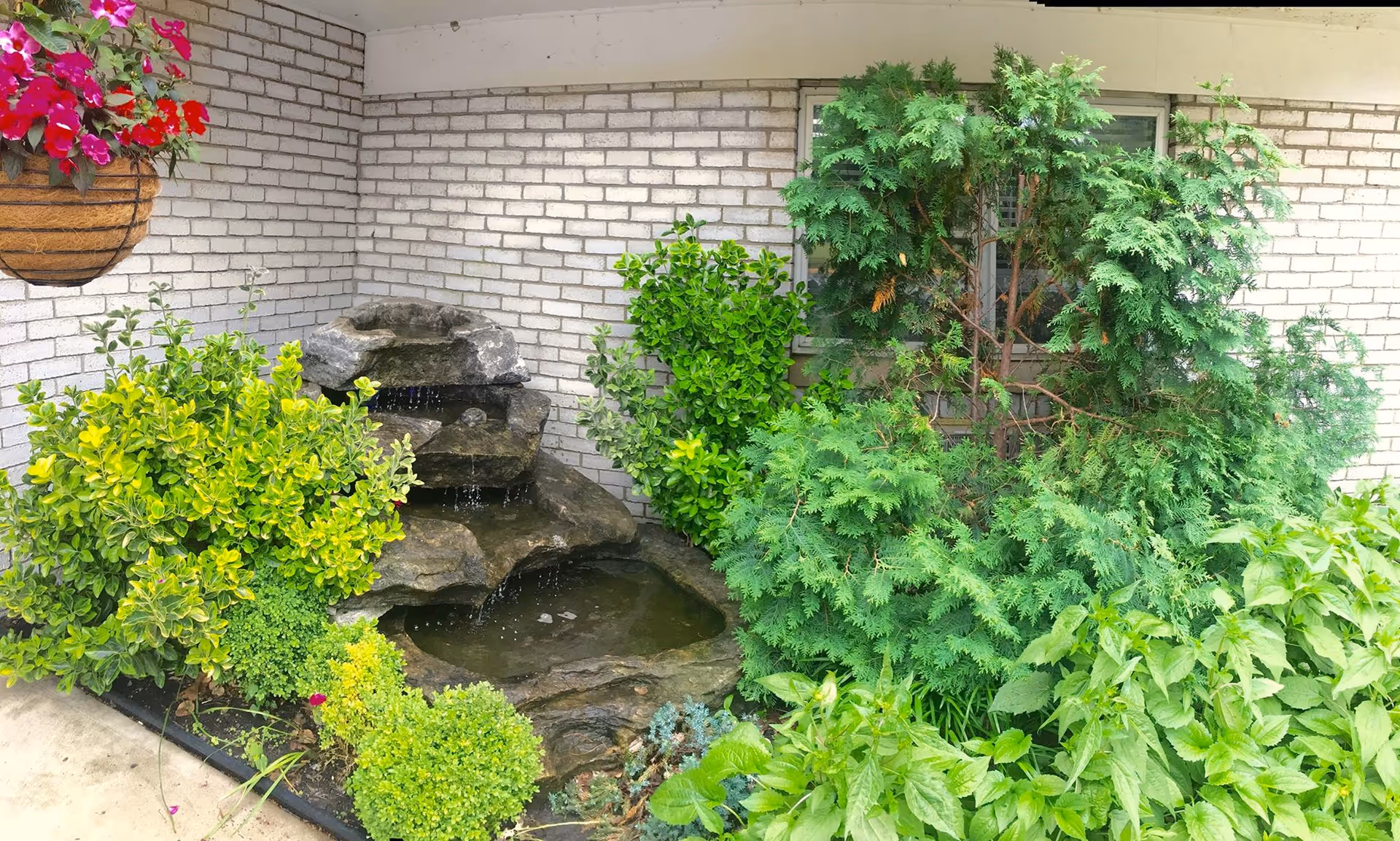 A small outdoor garden area with various green shrubs and plants surrounding a tiered rock water fountain against a white brick wall. There is a hanging basket with pink flowers on the left side and a window partially visible behind the plants on the right.