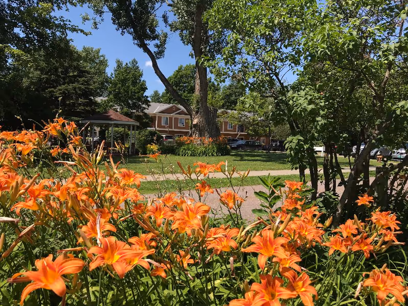 A garden area with vibrant orange flowers in the foreground, a large tree, a gazebo, and a two-story building with brown siding in the background under a clear blue sky.