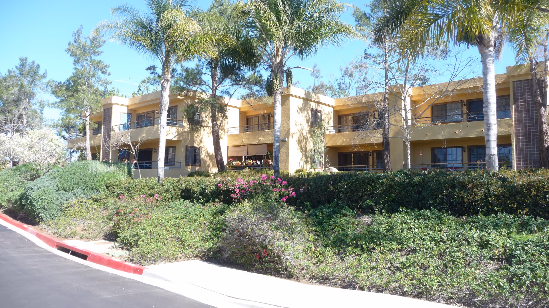 Exterior view of a two-story senior living facility building with yellow walls and balconies, surrounded by palm trees, bushes, and flowering plants under a clear blue sky.
