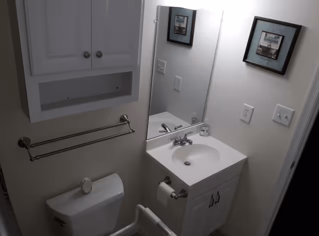 Small bathroom with a white toilet, white vanity with sink and faucet, a mirror above the sink, a wall-mounted cabinet with two doors, a towel rack, and a framed picture on the wall.