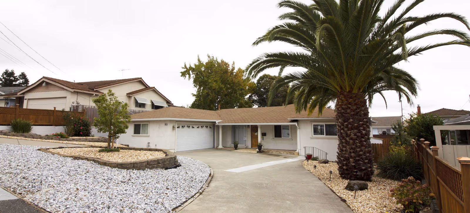 Front exterior of a single-story residence with a driveway, large palm tree, and white rock landscaping.