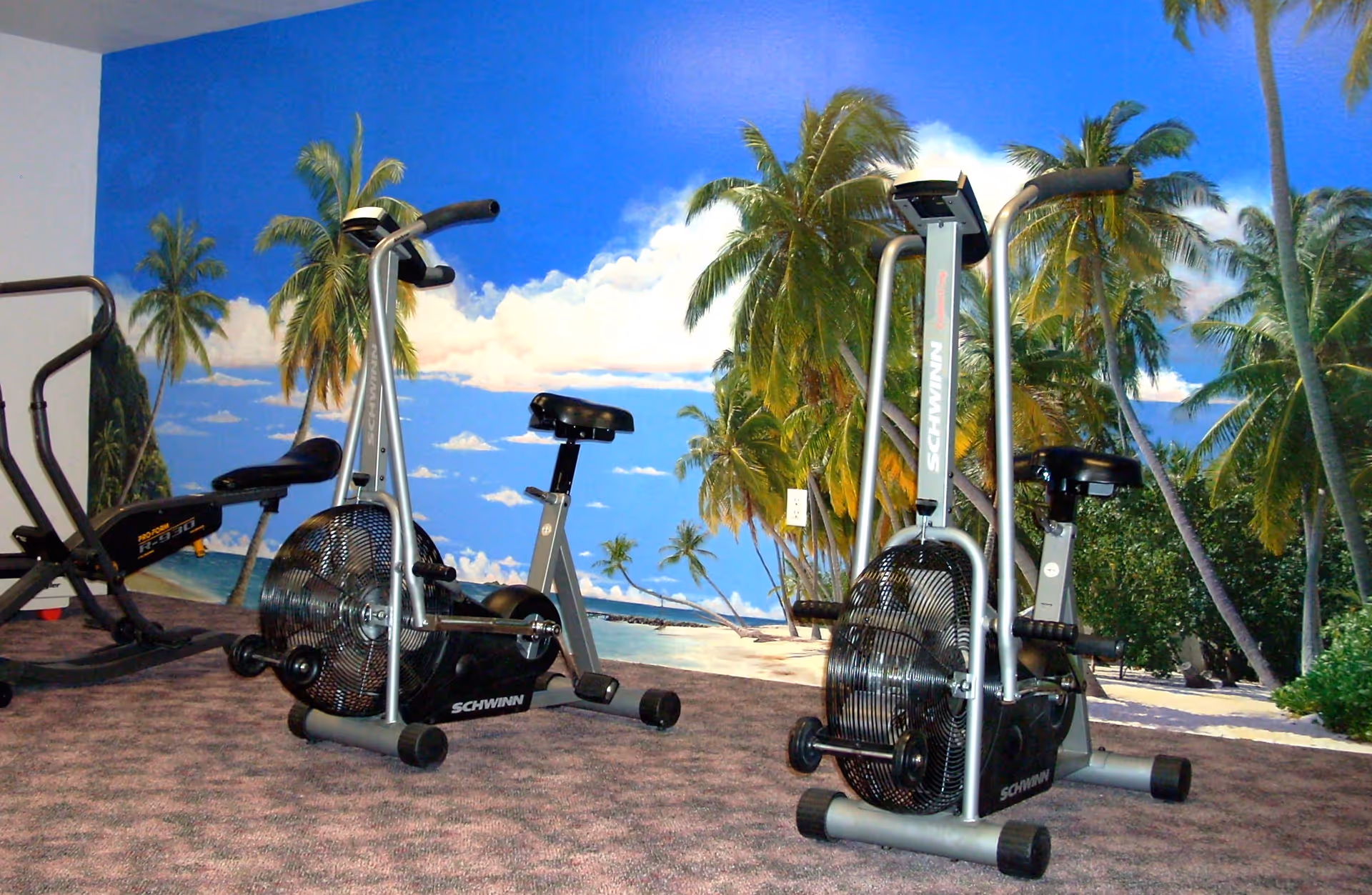 Indoor fitness room with two Schwinn exercise bikes in front of a large tropical beach mural.