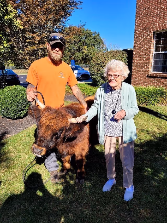 An elderly woman and a man standing outside on grass near a brick building. The man is holding a small brown cow with horns on a leash, and the woman is touching one of the cow's horns. Trees, bushes, and parked cars are visible in the background under a clear blue sky.
