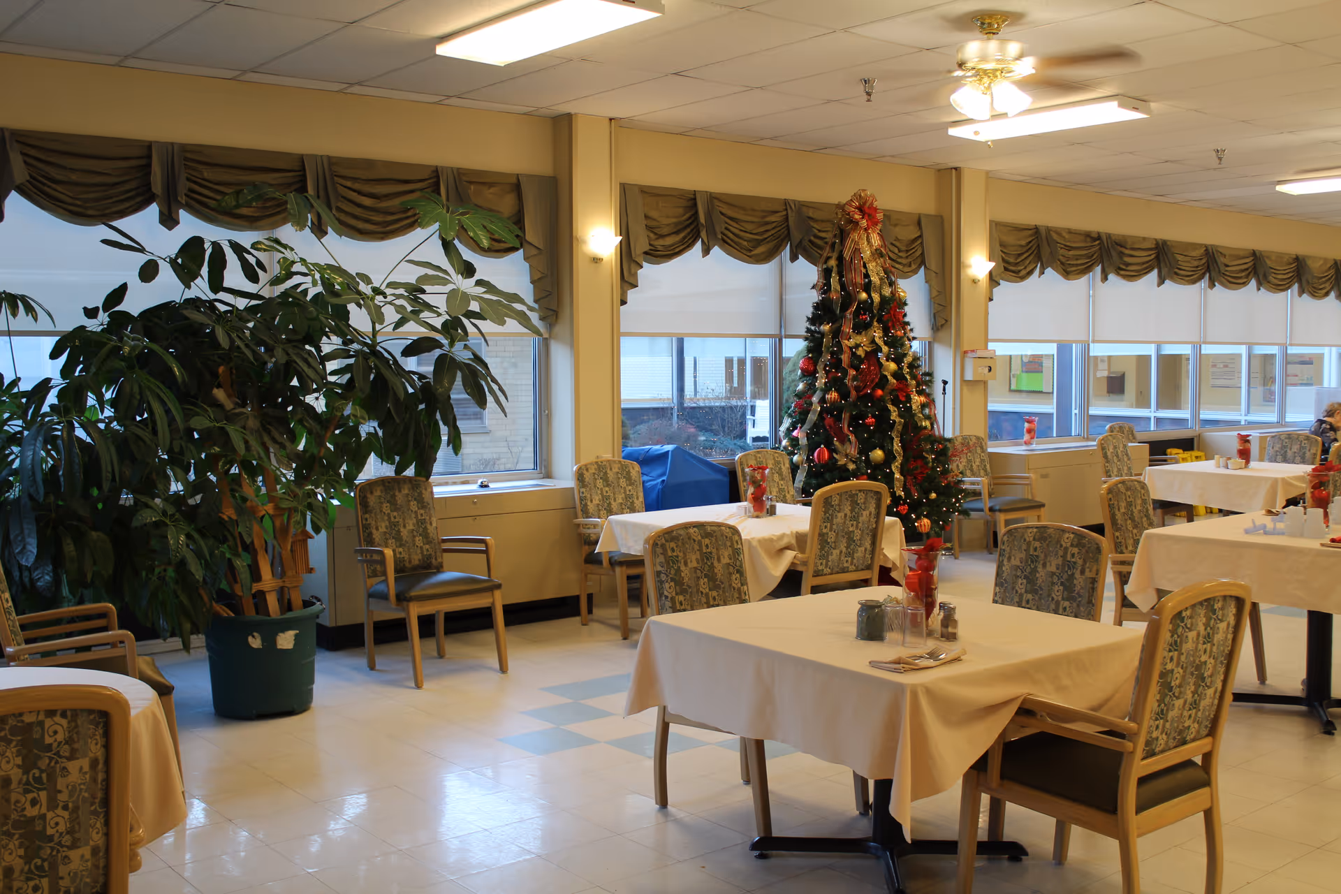 A dining room decorated for Christmas with tables covered in white tablecloths and chairs with patterned upholstery. A decorated Christmas tree stands near the windows, which have valance curtains. There is a large potted plant in one corner and natural light coming through the windows.