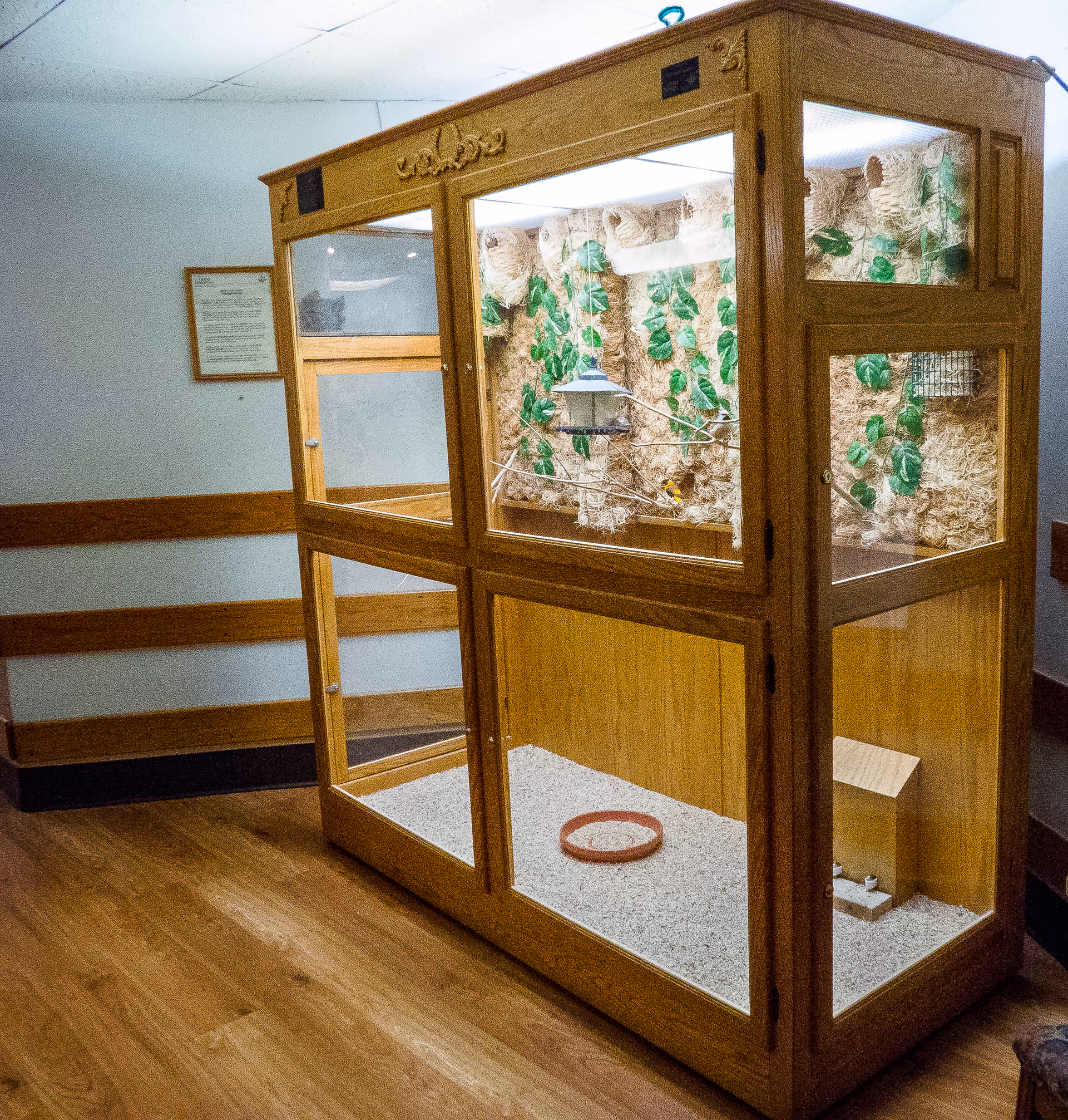 Large wooden and glass aviary with branches, a feeder and bedding displayed in a hallway.