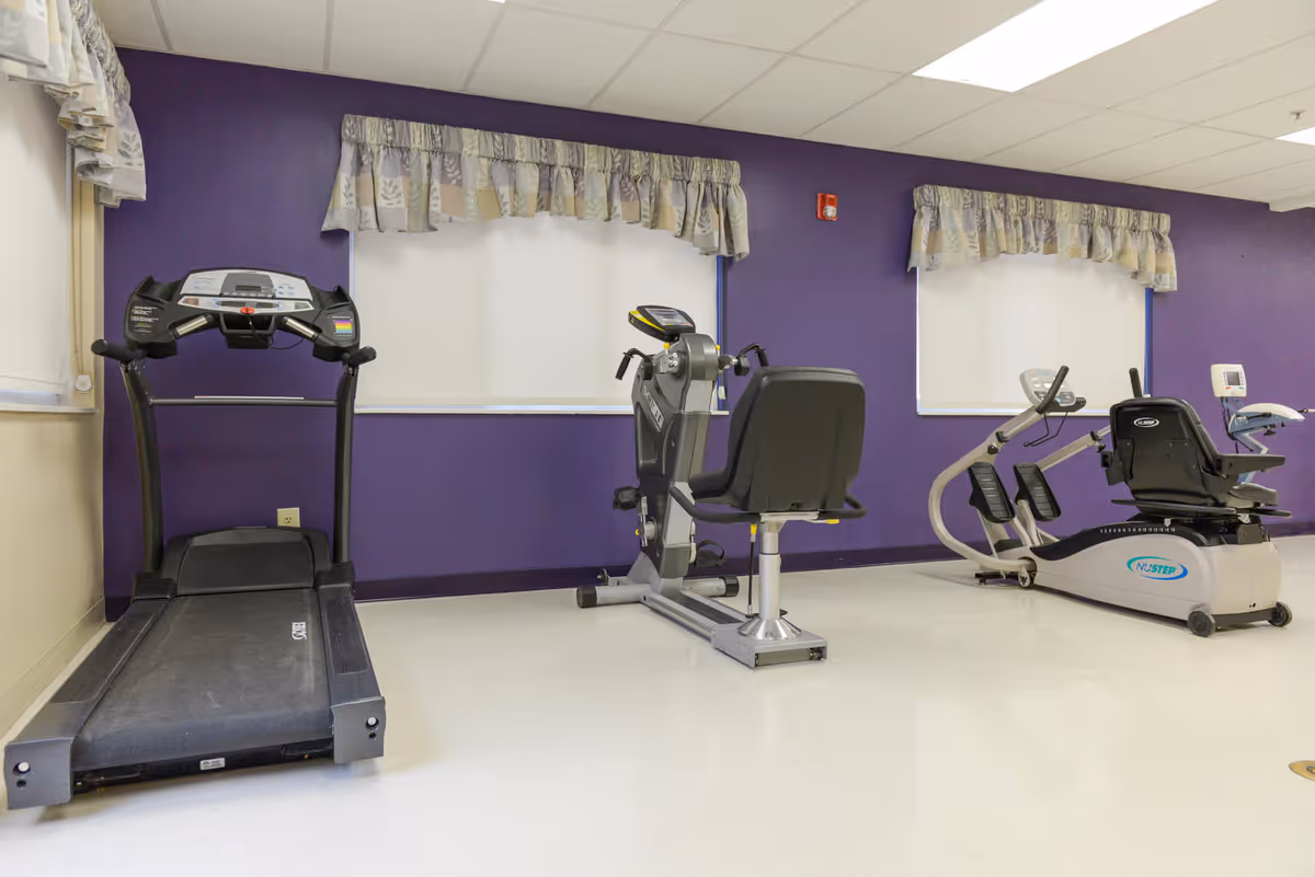 Indoor exercise room with a treadmill, a recumbent stationary bike, and a seated elliptical machine against a purple wall with two windows covered by white blinds and floral valances.