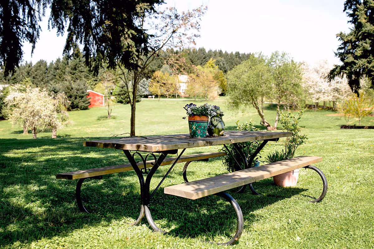 A wooden picnic table with metal legs sits on a grassy lawn surrounded by trees and plants. On the table, there are two flower pots with blooming flowers. In the background, there is a red shed and a forested area under a clear sky.