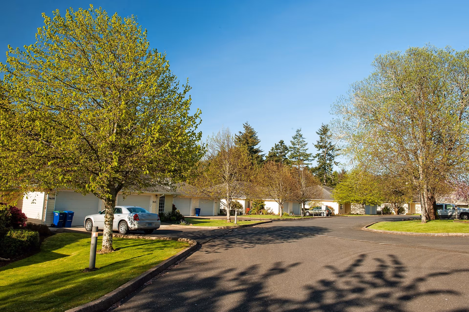 A sunny residential street in a senior living community with single-story homes, green lawns, and trees with fresh spring leaves under a clear blue sky.