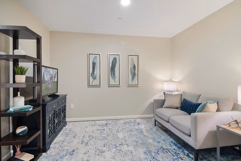 A cozy living room with a light gray sofa adorned with beige and blue pillows, a wooden side table with a lamp, a dark wooden TV stand with a flat-screen TV, and a matching dark wooden shelving unit with decorative items. Three framed feather artworks hang on the beige wall above a blue and white patterned rug covering the floor.