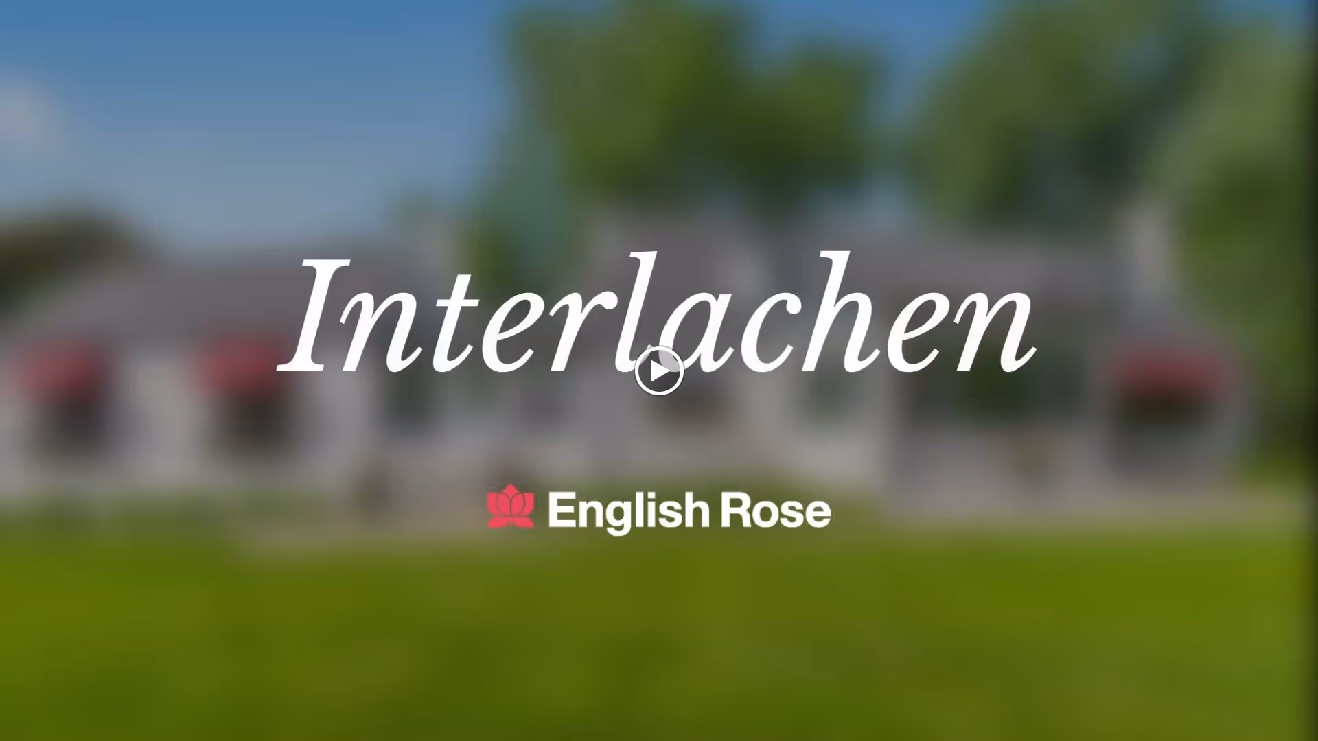 Blurred exterior view of a building with green lawn in the foreground and trees in the background, overlaid with the text 'Interlachen' and the English Rose logo and name.