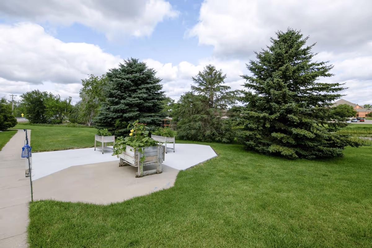 Outdoor garden area with green grass, several large evergreen trees, a concrete pathway, and raised wooden planters with plants growing in them under a partly cloudy sky.