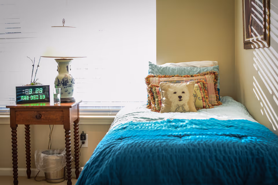 Sunlit bedroom with a single bed covered in a teal blanket, decorative pillows (one with a dog image), and a wooden bedside table with a lamp and digital clock.