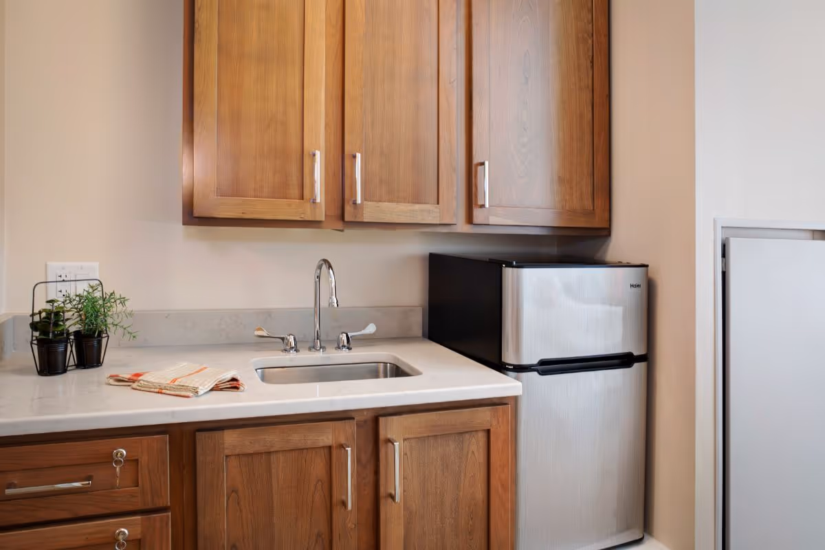 A small kitchen area with wooden cabinets, a stainless steel sink with a faucet, a mini refrigerator, and a countertop with a folded dish towel and small potted plants.