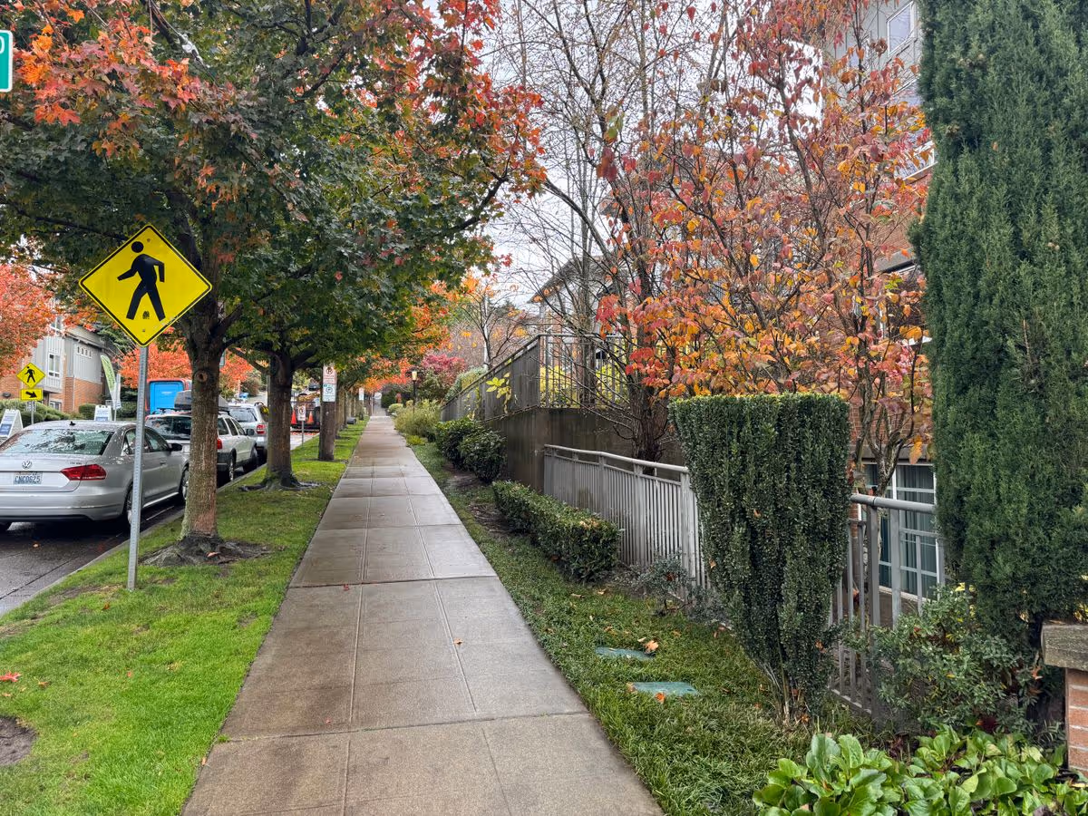Sidewalk lined with trees and parked cars beside a residential building with autumn foliage and a pedestrian crossing sign.