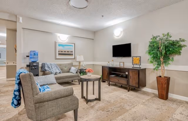 A cozy living room area with a gray sofa and armchair, both adorned with blue and gray throw blankets and pillows. A round wooden coffee table with a flower arrangement sits in the center. On the right wall, there is a flat-screen TV mounted above a wooden media console with decorative items. A tall potted plant is placed in the corner. The room has beige walls and carpeted flooring, with soft lighting from wall-mounted fixtures.