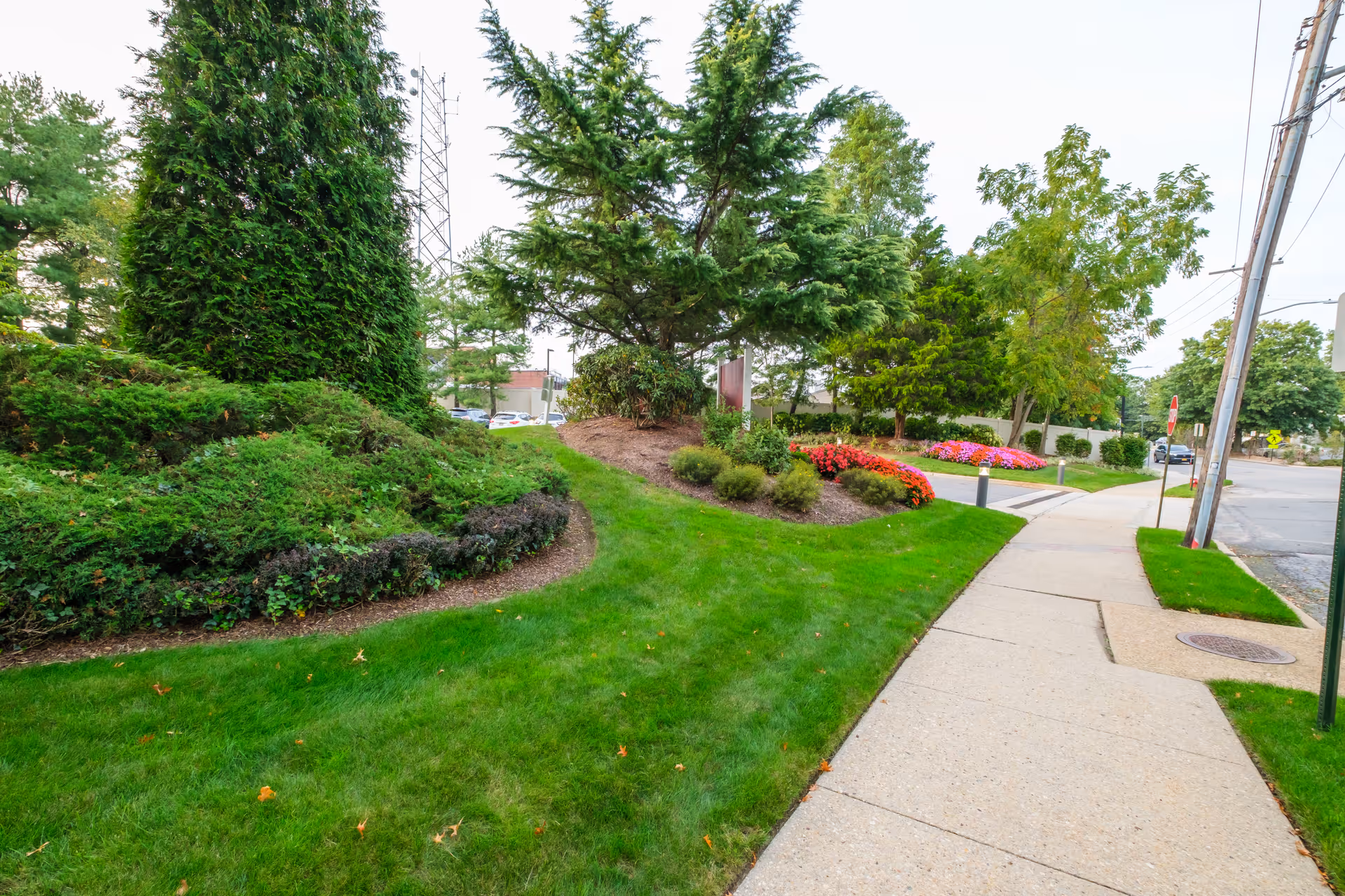 A landscaped outdoor area with green grass, various bushes, and colorful flower beds alongside a concrete sidewalk. Trees and utility poles are visible, with a street and parked cars in the background.
