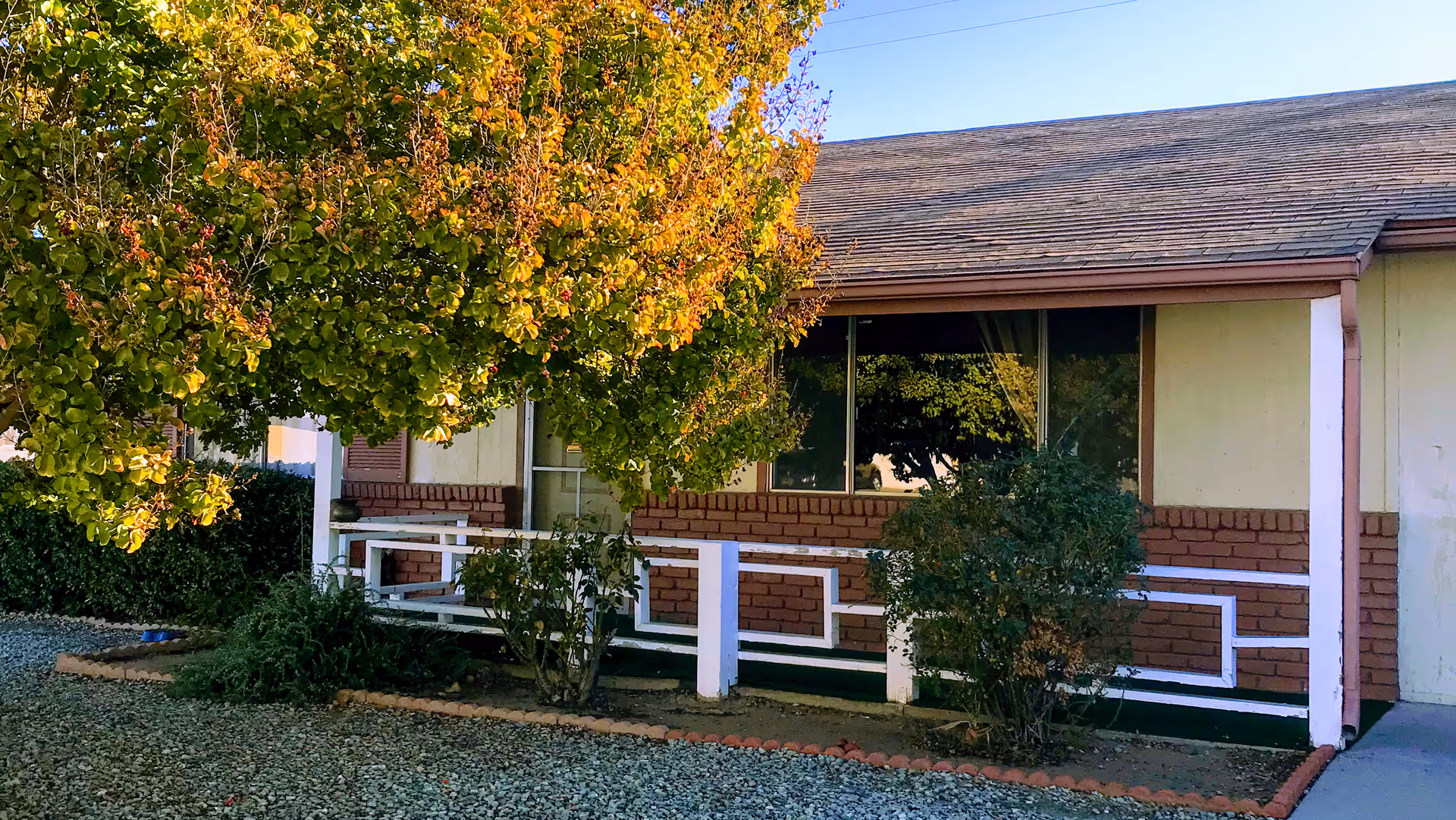 Front exterior of a single-story building with a small porch, white railing, brick lower facade, shrubs and a tree.