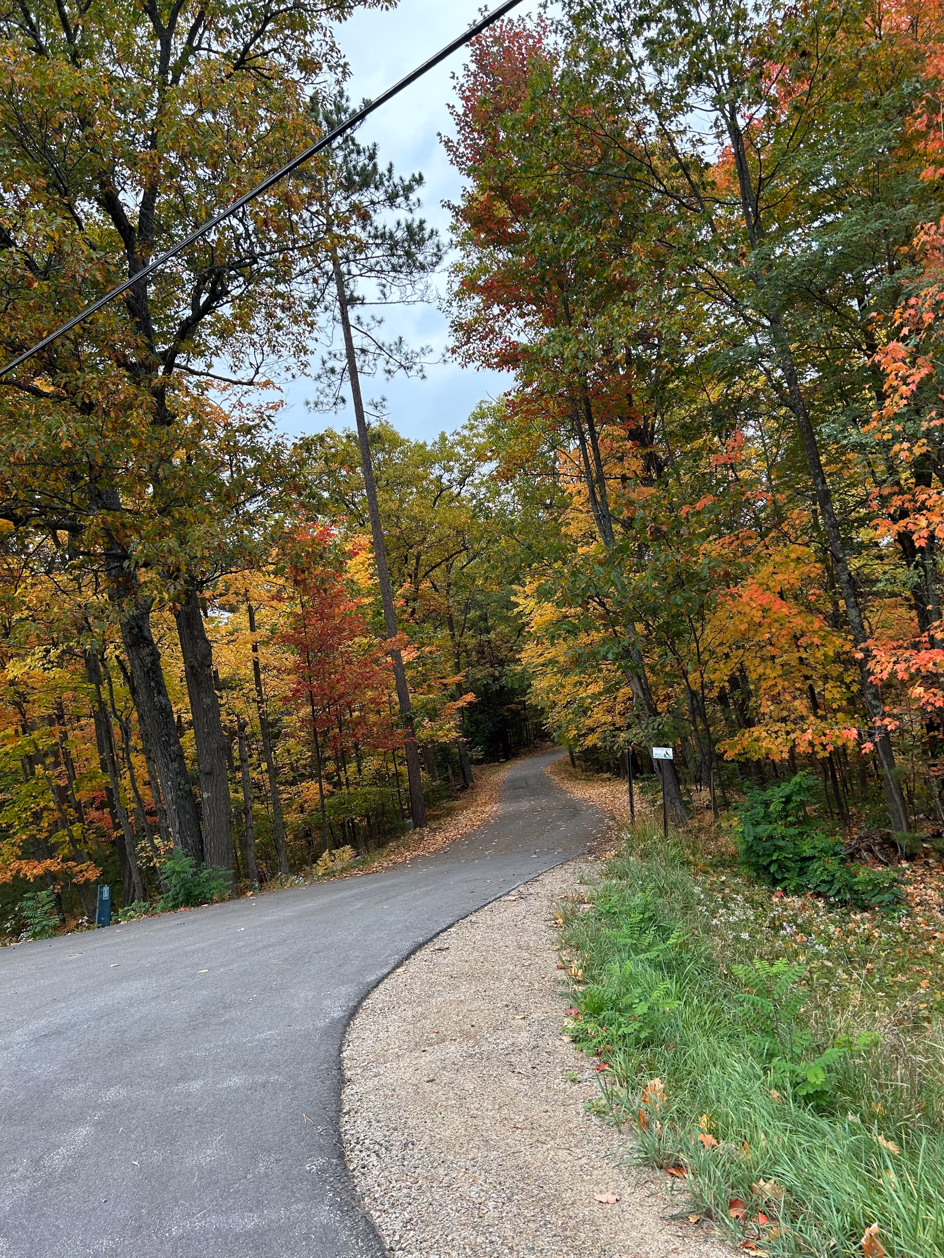 A paved road curves to the right, surrounded by trees with autumn foliage in shades of green, yellow, orange, and red. There is a gravel shoulder on the right side of the road and some green grass and plants along the edge. The sky is overcast.