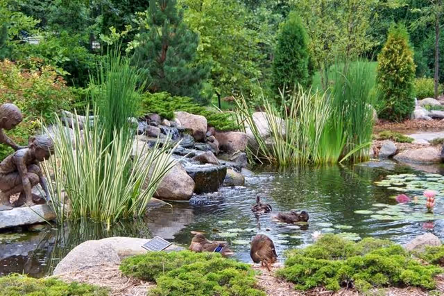 A serene outdoor pond surrounded by rocks, greenery, and tall grasses with a small waterfall feature. Several ducks are swimming and resting near the water. A bronze statue of a child is positioned on the left side near the water's edge.