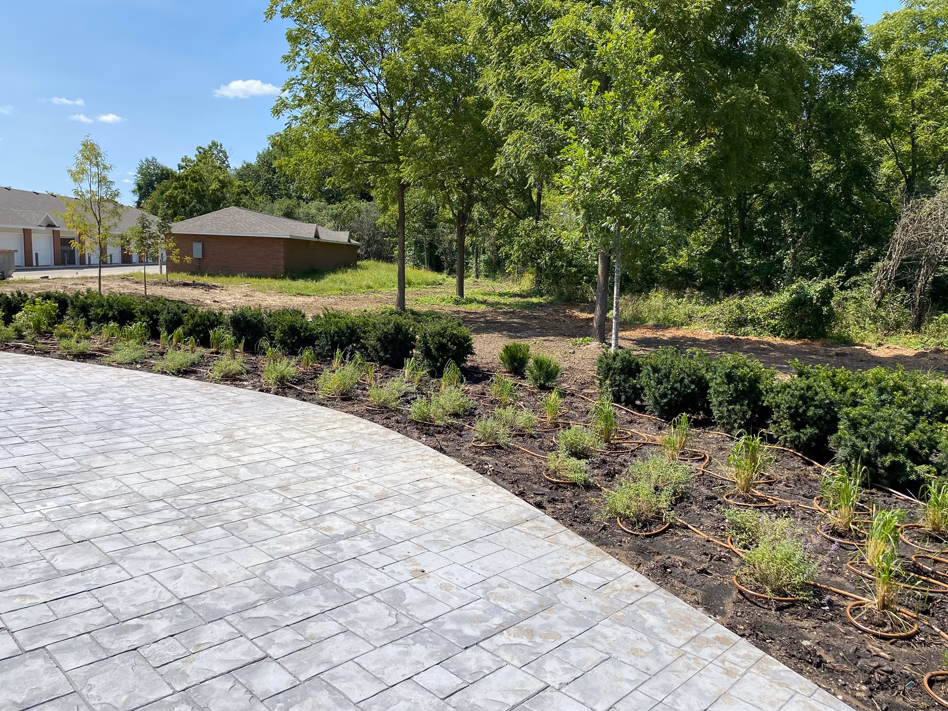 Outdoor area at Willow Pines Retirement Community featuring a paved walkway with a landscaped garden bed containing small shrubs and plants. There are several trees and a building with a sloped roof in the background under a clear blue sky.
