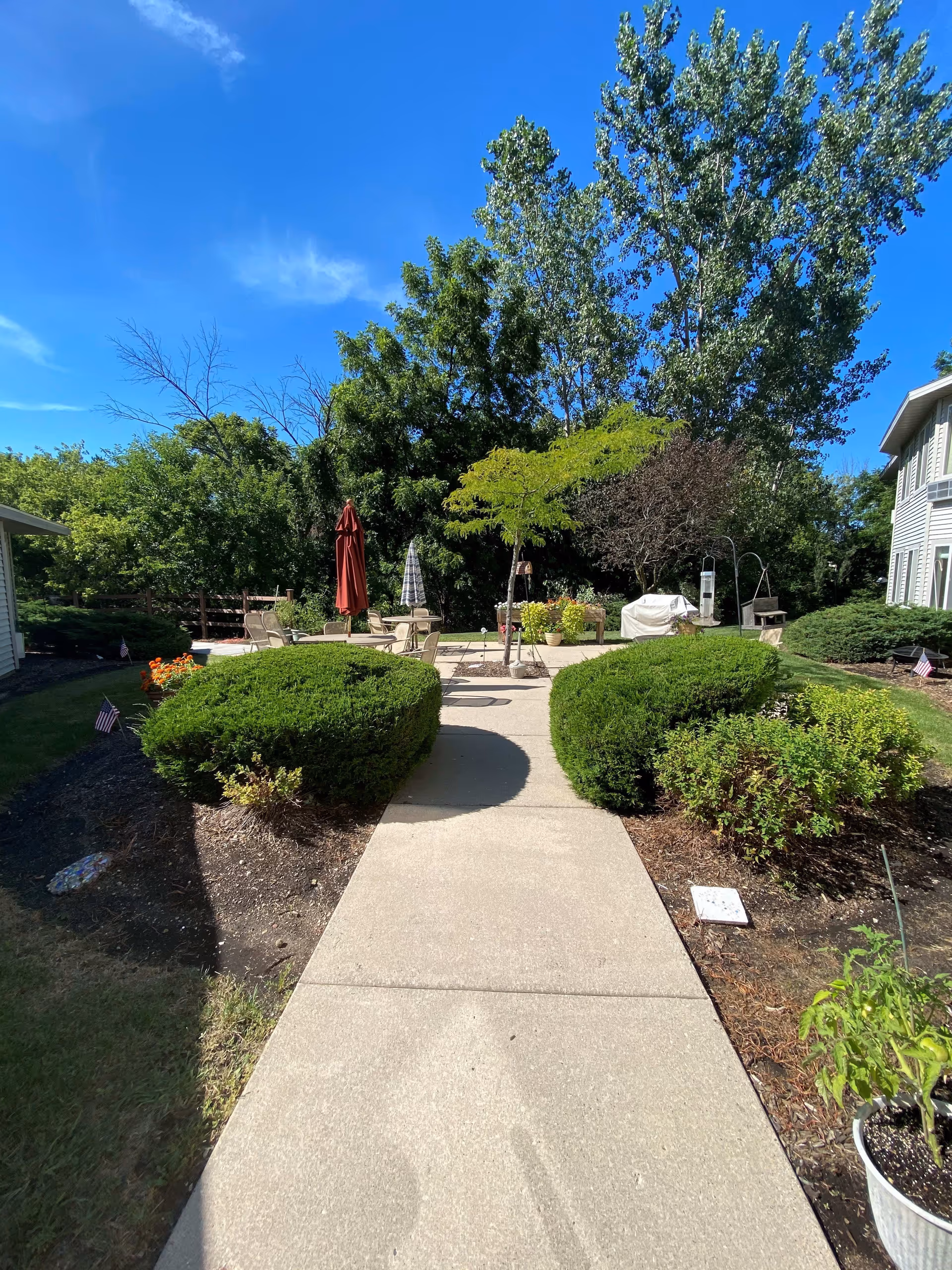 A sunny outdoor patio area with a concrete walkway leading to a seating area with chairs and umbrellas. The patio is surrounded by green bushes, trees, and plants under a clear blue sky.