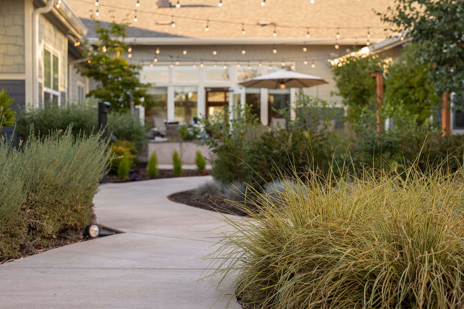 Curved paved walkway through a landscaped courtyard with ornamental grasses, string lights, and a patio umbrella in front of a building.